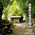 【事前申込】浄土寺の茶室「露滴庵（ろてきあん）」一般公開 / 特別席コース  