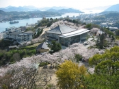 （3月下旬〜4月中旬）千光寺公園の花見