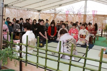 （04月13日）さくら茶会