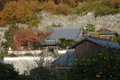 地蔵院〔曹洞宗〕
