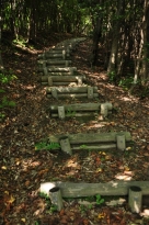 登山道